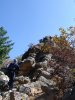 Picture 011